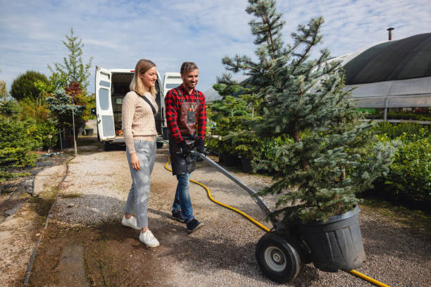 Trusted West Liberty, KY Tree Service Experts